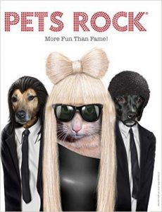 pets-rock-front_101